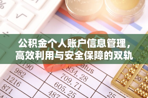 玉里公积金个人账户信息管理，高效利用与安全保障的双轨并行