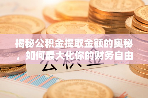玉里揭秘公积金提取金额的奥秘，如何最大化你的财务自由