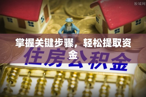 玉里掌握关键步骤，轻松提取资金