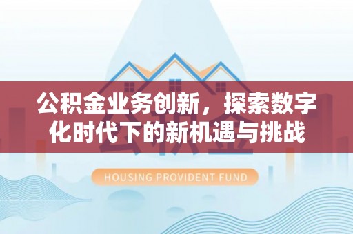 玉里公积金业务创新，探索数字化时代下的新机遇与挑战
