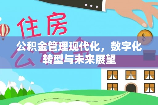玉里公积金管理现代化，数字化转型与未来展望