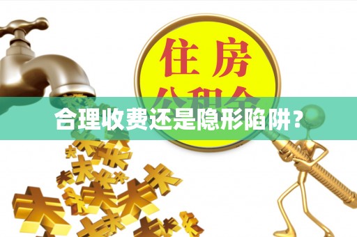 玉里合理收费还是隐形陷阱？