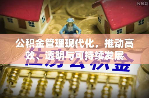 玉里公积金管理现代化，推动高效、透明与可持续发展