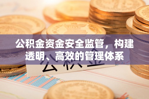 玉里公积金资金安全监管，构建透明、高效的管理体系