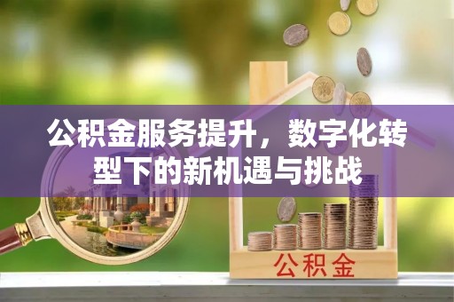 玉里公积金服务提升，数字化转型下的新机遇与挑战