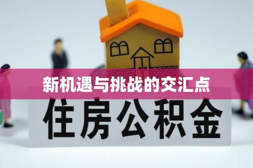 玉里新机遇与挑战的交汇点