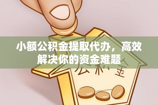 玉里小额公积金提取代办，高效解决你的资金难题
