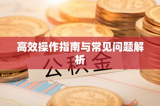 玉里高效操作指南与常见问题解析