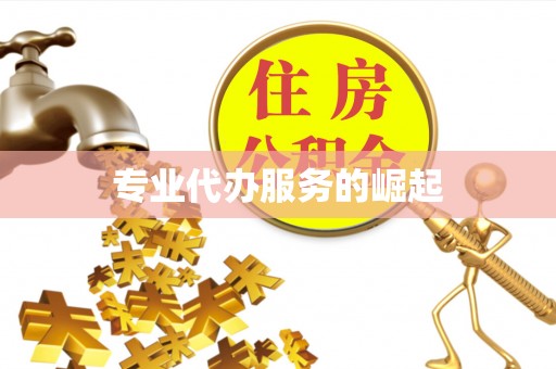 玉里专业代办服务的崛起