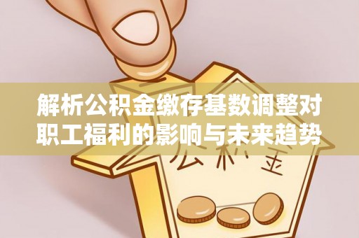 玉里解析公积金缴存基数调整对职工福利的影响与未来趋势