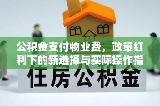 玉里公积金支付物业费，政策红利下的新选择与实际操作指南