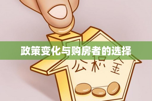 玉里政策变化与购房者的选择