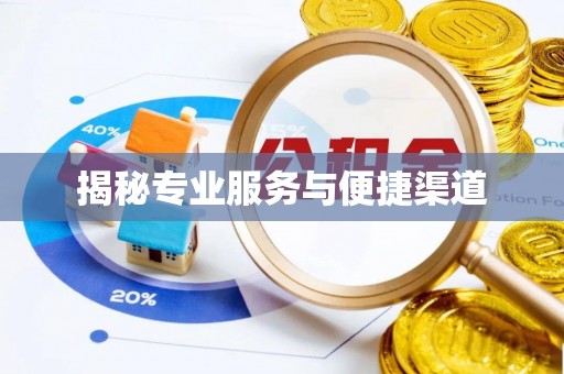 玉里揭秘专业服务与便捷渠道