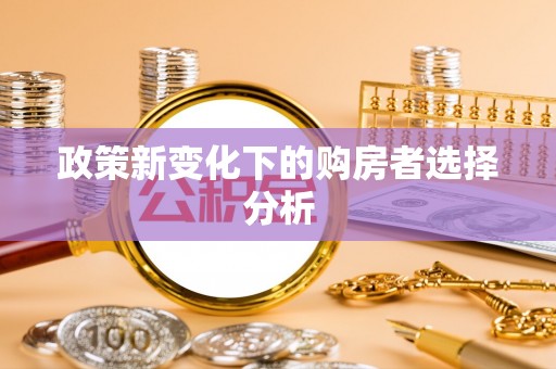 玉里政策新变化下的购房者选择分析