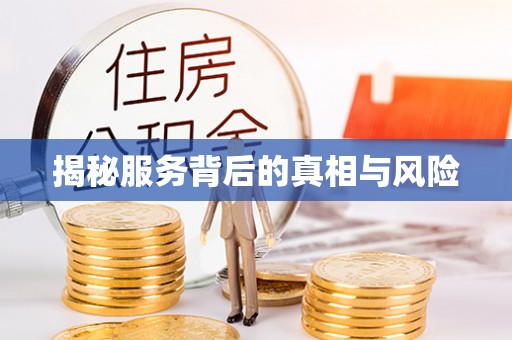 玉里揭秘服务背后的真相与风险