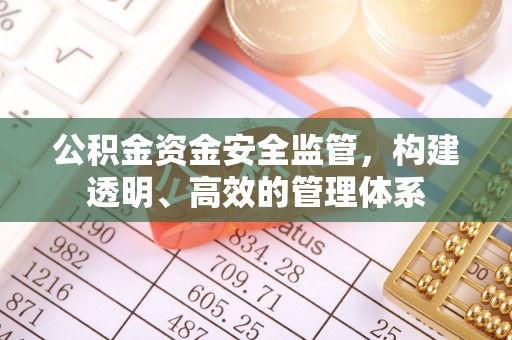玉里公积金资金安全监管，构建透明、高效的管理体系