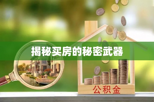 玉里揭秘买房的秘密武器