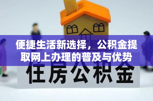 玉里便捷生活新选择，公积金提取网上办理的普及与优势
