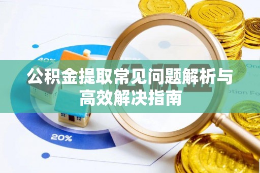 玉里公积金提取常见问题解析与高效解决指南