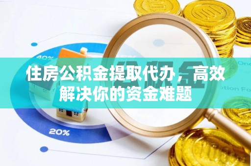 玉里住房公积金提取代办，高效解决你的资金难题