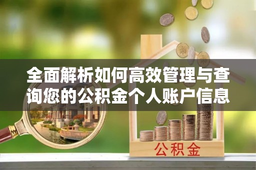 玉里全面解析如何高效管理与查询您的公积金个人账户信息