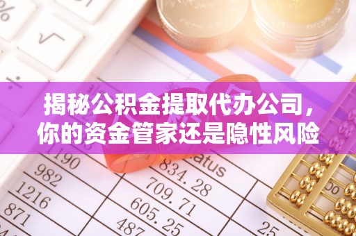 玉里揭秘公积金提取代办公司，你的资金管家还是隐性风险？