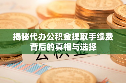 玉里揭秘代办公积金提取手续费背后的真相与选择