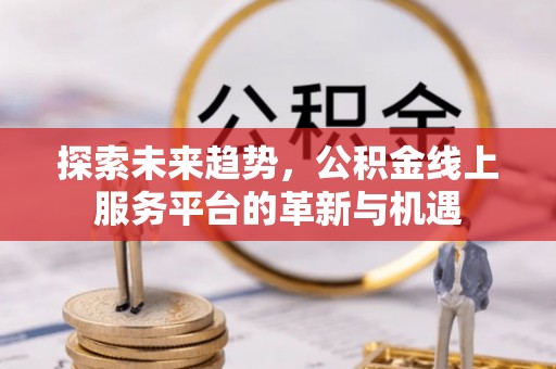 玉里探索未来趋势，公积金线上服务平台的革新与机遇