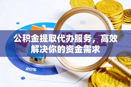 玉里公积金提取代办服务，高效解决你的资金需求