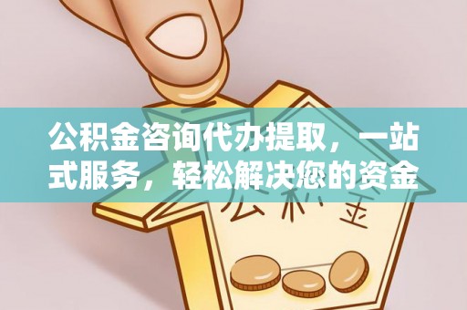 玉里公积金咨询代办提取，一站式服务，轻松解决您的资金需求