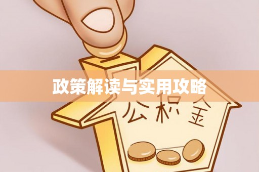 玉里政策解读与实用攻略