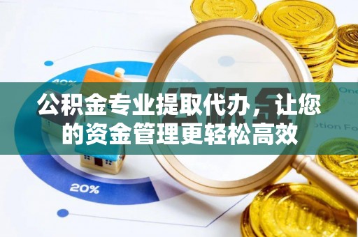 玉里公积金专业提取代办，让您的资金管理更轻松高效