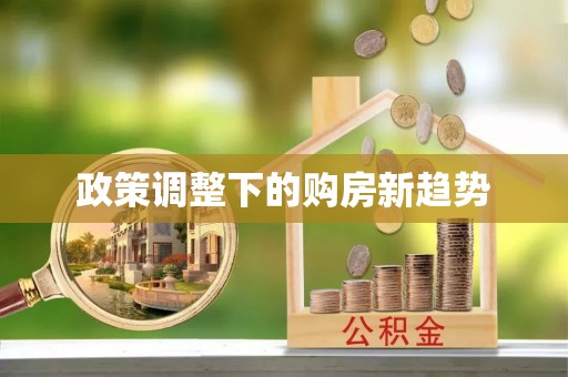 玉里政策调整下的购房新趋势