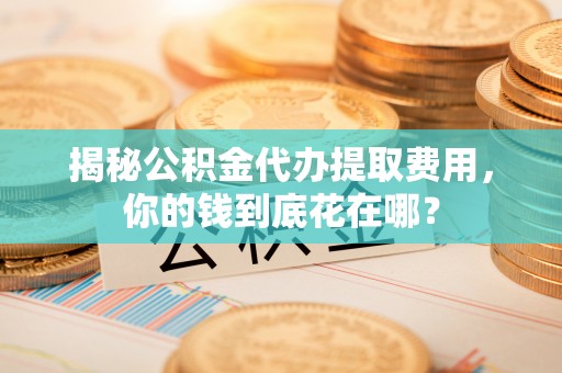 玉里揭秘公积金代办提取费用，你的钱到底花在哪？