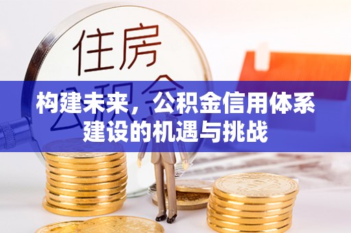 玉里构建未来，公积金信用体系建设的机遇与挑战