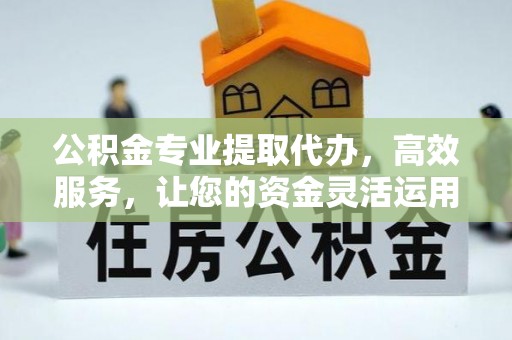 玉里公积金专业提取代办，高效服务，让您的资金灵活运用