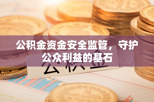 玉里公积金资金安全监管，守护公众利益的基石