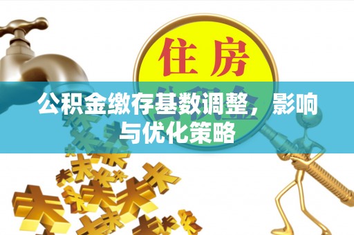 玉里公积金缴存基数调整，影响与优化策略