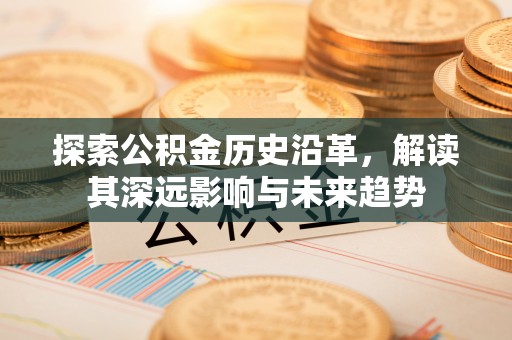 玉里探索公积金历史沿革，解读其深远影响与未来趋势