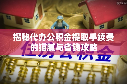 玉里揭秘代办公积金提取手续费的猫腻与省钱攻略