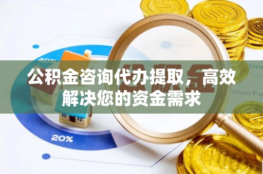 玉里公积金咨询代办提取，高效解决您的资金需求