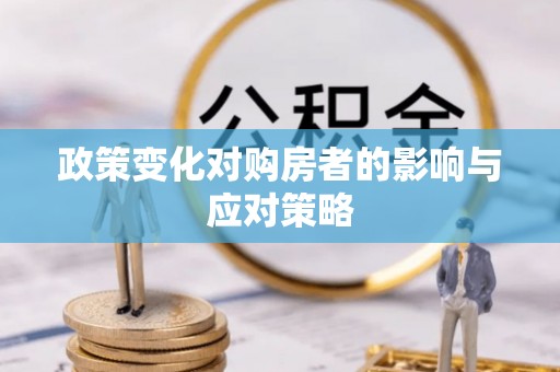 玉里政策变化对购房者的影响与应对策略