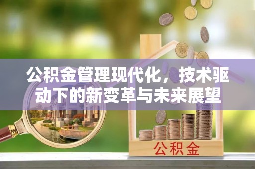 玉里公积金管理现代化，技术驱动下的新变革与未来展望