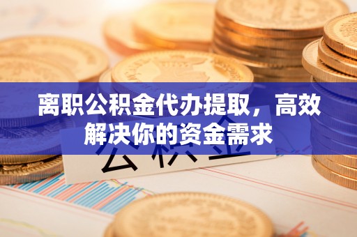 玉里离职公积金代办提取，高效解决你的资金需求