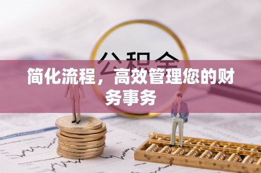 玉里简化流程，高效管理您的财务事务
