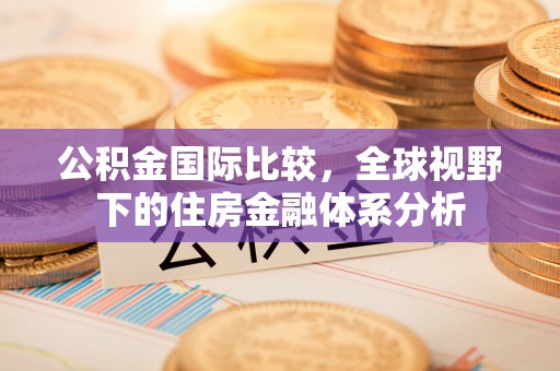 玉里公积金国际比较，全球视野下的住房金融体系分析