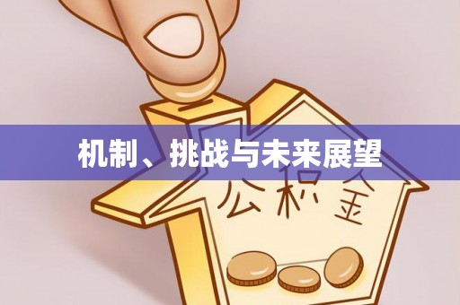 玉里机制、挑战与未来展望